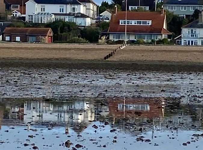 The Patch